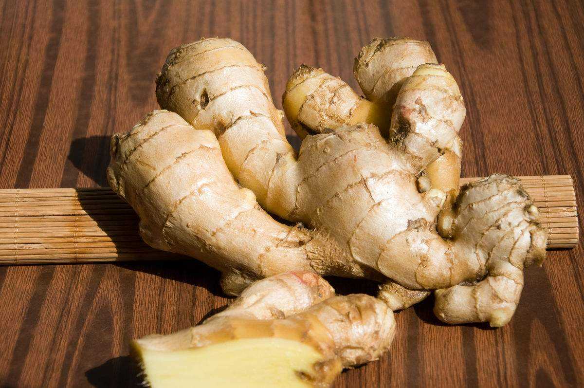 Introduction of ginger harvesting and seed retention technology